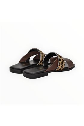  SAINT TROPEZ | Q02-TESTA DI MORO